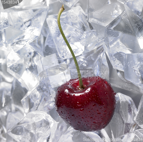 Image of red cherry on ice