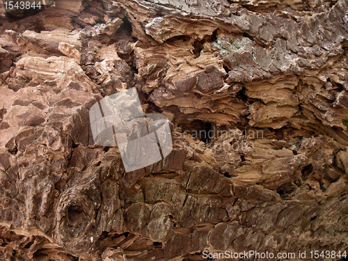 Image of brown clefty bark detail