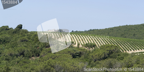 Image of Chianti in Tuscany