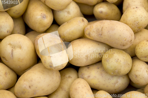 Image of full frame potatoe background