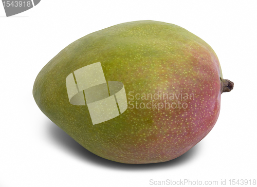 Image of mango in white back