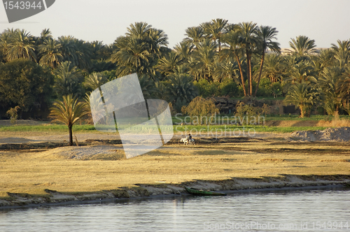 Image of River Nile scenery between Aswan and Luxor