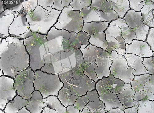 Image of almost dry soil