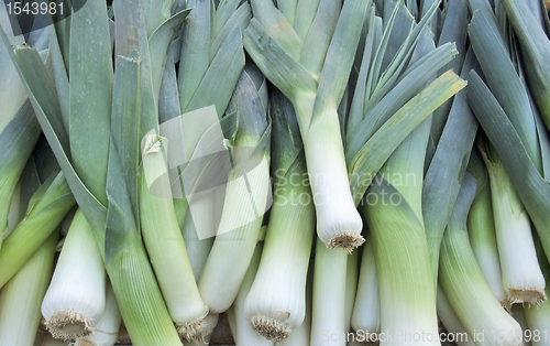 Image of leek background