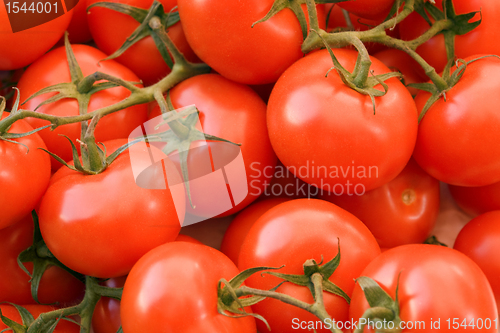 Image of full frame tomato background