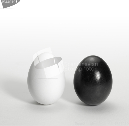 Image of black and white egg