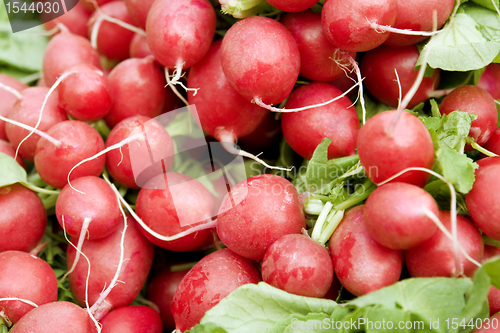 Image of full frame radish background