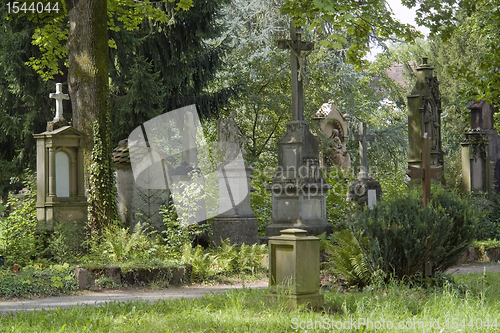 Image of old graveyard in Freiburg