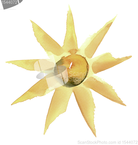 Image of sunny flower illustration