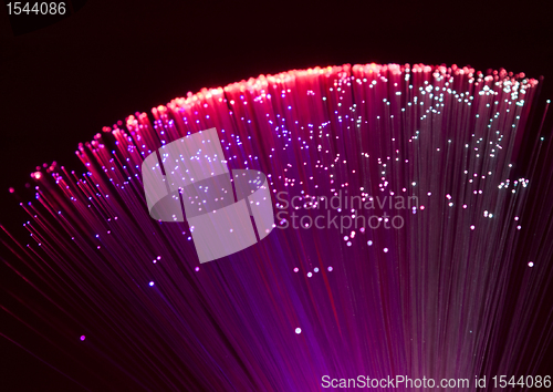 Image of plastic optical fibers