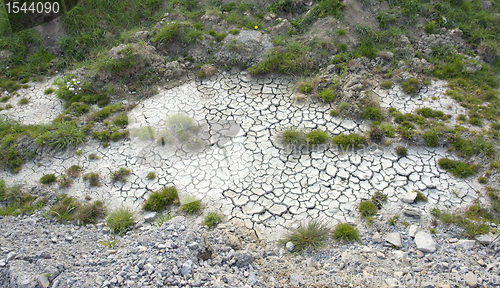 Image of grassy vegetation in arid ambiance