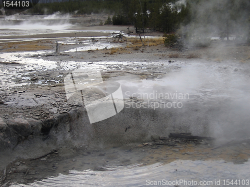 Image of hot springs in the Yellowstone National Park