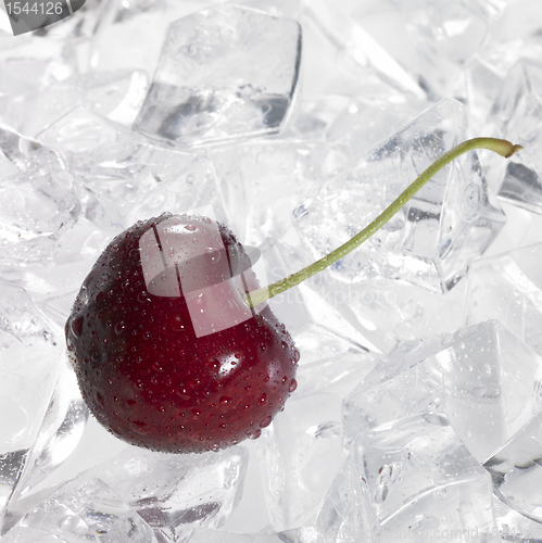 Image of red cherry on ice