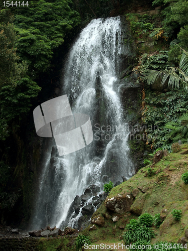 Image of cascade at the Azores