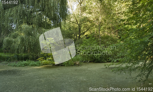 Image of overgrown tarn in the Liliental