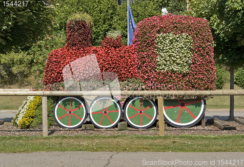 Image of sunny illuminated flower train