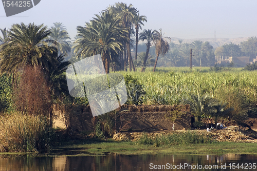 Image of River Nile scenery between Aswan and Luxor