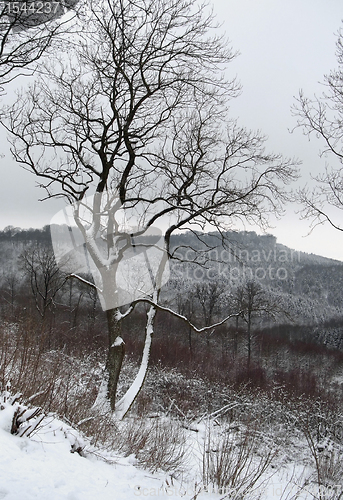 Image of snowy winter scenery