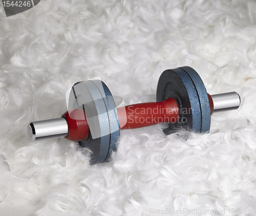 Image of dumbbell and down feathers