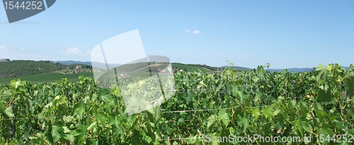 Image of Chianti in Tuscany