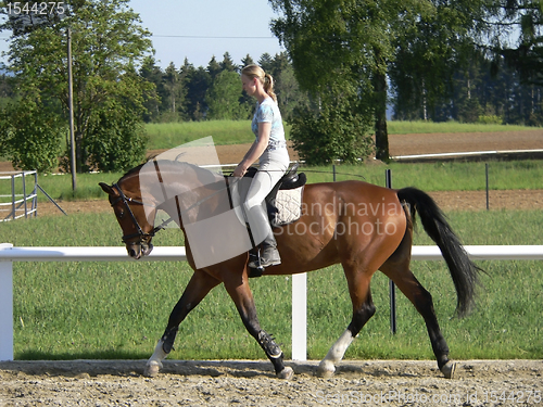 Image of horse riding young blonde woman