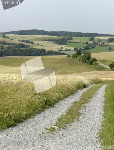 Image of rural panoramic scenery with farm track