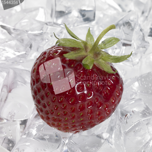 Image of red strawberry on ice