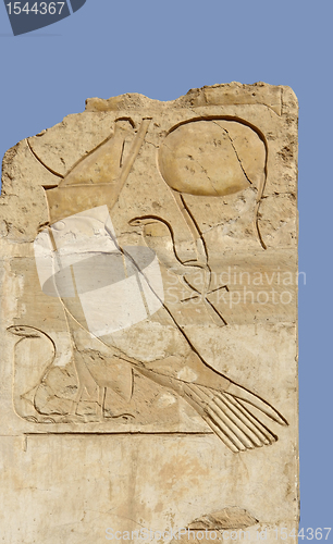 Image of relief at the Mortuary Temple of Hatshepsut