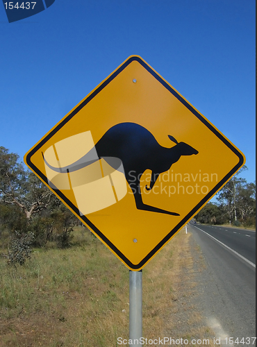 Image of Beware of kangaroo