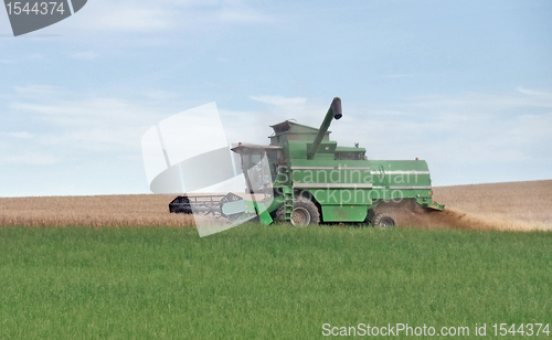 Image of harvesting harvester on a crop field