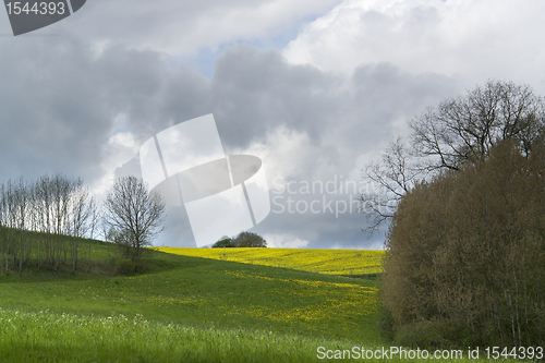 Image of cloudy spring scenery