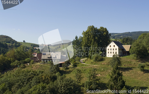 Image of sunny Black Forest scenery