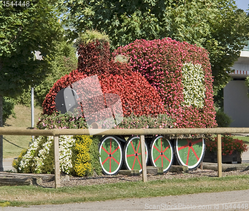 Image of flower train at summer time