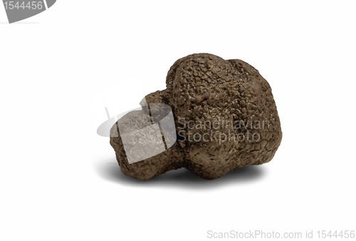 Image of truffles