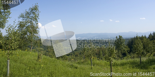 Image of scenery around Liliental at summer time