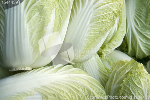 Image of full frame lettuce background