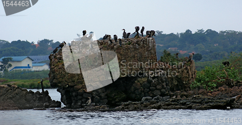 Image of Lake Victoria near Entebbe