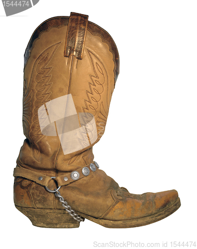 Image of light brown cowboy boot