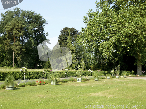 Image of sunny park detail