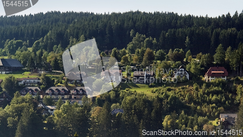 Image of Black Forest scenery with houses