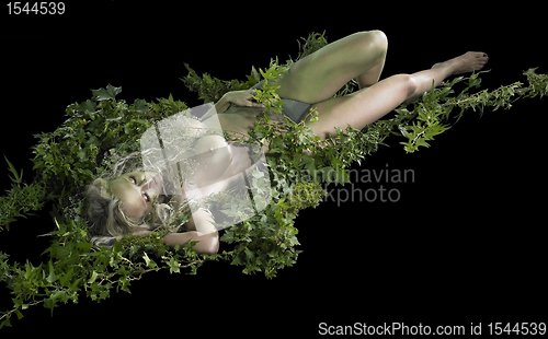 Image of dryad