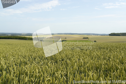 Image of rural pictorial agriculture scenery at summer time