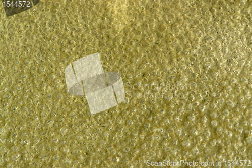 Image of organic bubbles on the ground