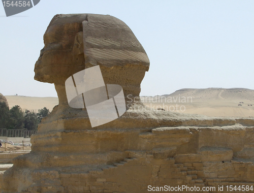 Image of sideways shot of the Sphinx