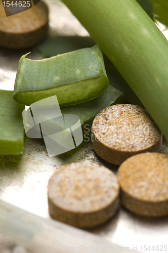 Image of Aloe vera - herbal medicine 