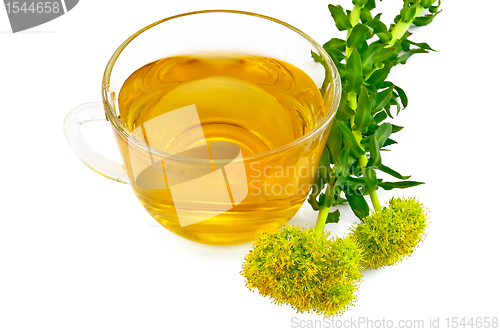 Image of Herbal tea with flowers Rhodiola rosea