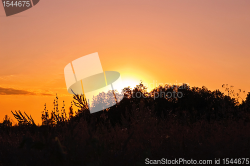 Image of Sunset against the backdrop of trees