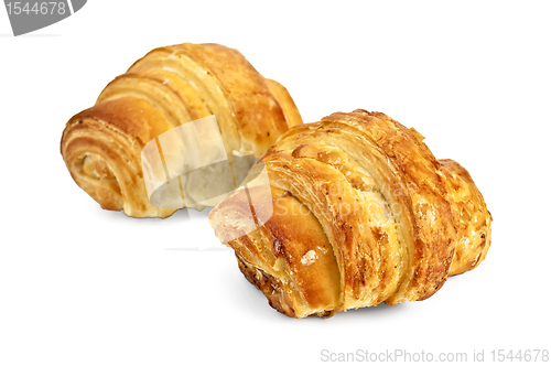 Image of Two golden croissant