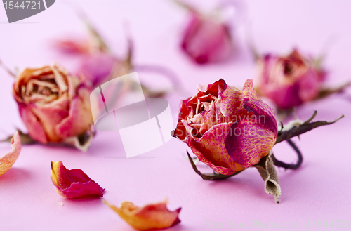 Image of Dry roses