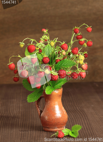 Image of Wild strawberry